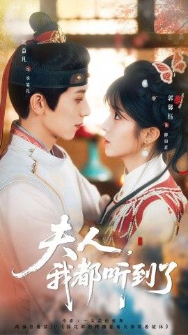 热播综艺海报